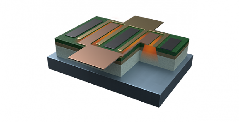 Microchip